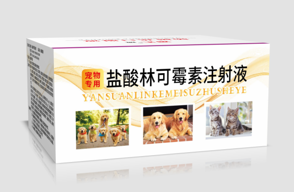 鹽酸林可霉素注射液